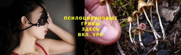 мдпв Осташков