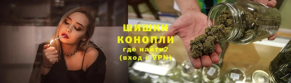 мдпв Осташков