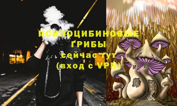 спайс Болотное