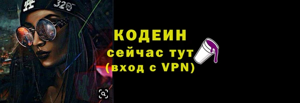 мдпв Осташков