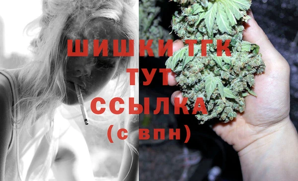 мдпв Осташков