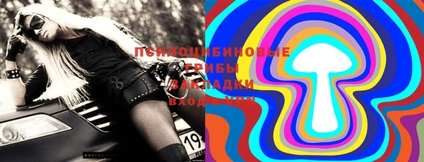 мдпв Осташков