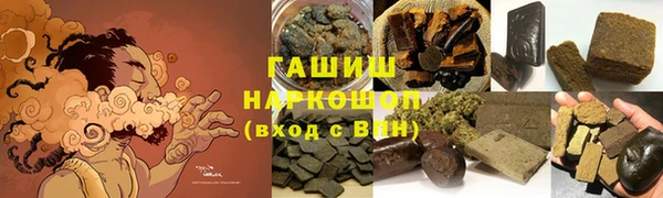 мдпв Осташков