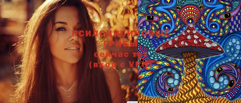 цена   Великий Устюг  Галлюциногенные грибы Magic Shrooms 