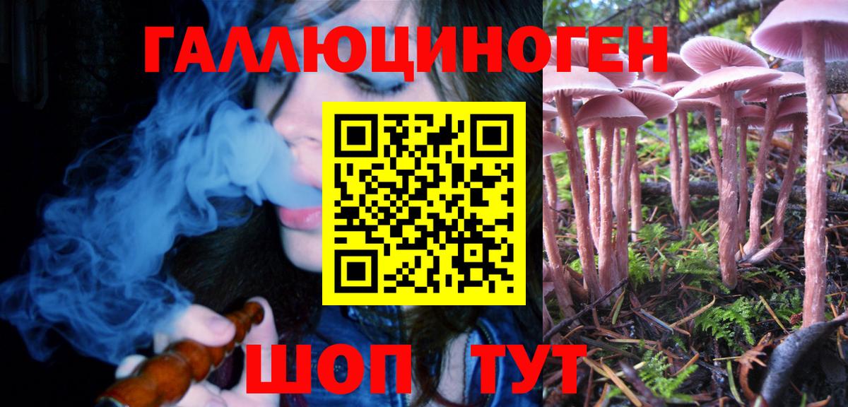 Галлюциногенные грибы Magic Shrooms Великий Устюг