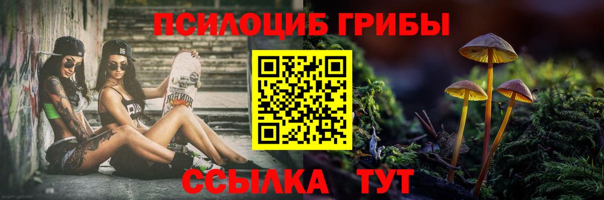 Галлюциногенные грибы Cubensis  Великий Устюг 