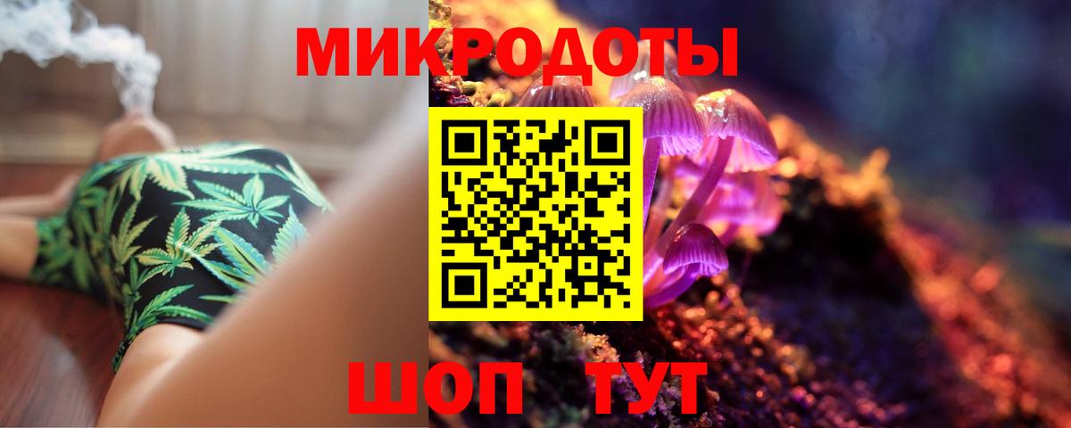 Псилоцибиновые грибы Cubensis Великий Устюг